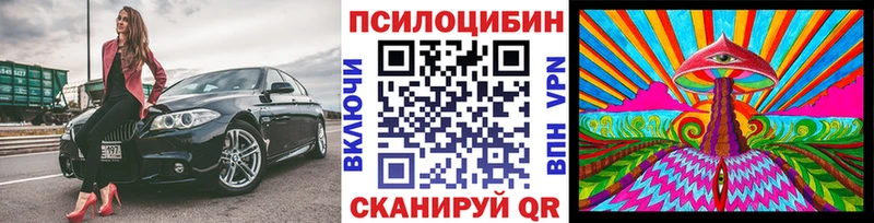 Галлюциногенные грибы Psilocybine cubensis  Чишмы 
